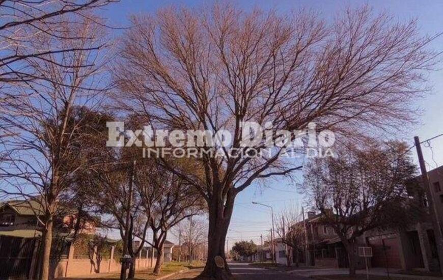 Imagen de Zoe Far&iacute;as es la ganadora del concurso de fotograf&iacute;a que organiz&oacute; el Concejo Municipal