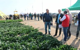 Foto: Municipalidad Arroyo Seco