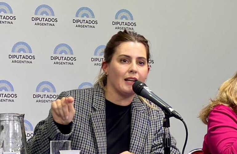 Imagen de Cattalini en audiencia p&uacute;blica: "La postulaci&oacute;n de Lijo es un peligro para la institucionalidad del pa&iacute;s"