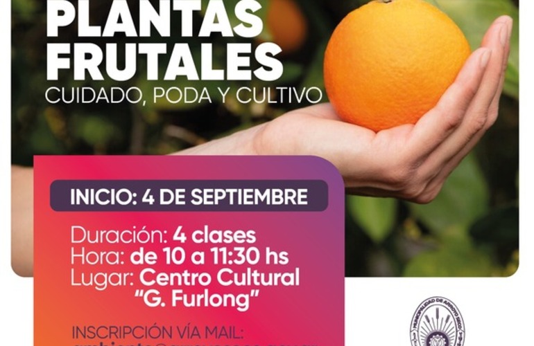 Imagen de Medio Ambiente: ¡Nuevo Curso! Plantas Frutales: Cuidado, Poda y Cultivo!