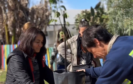 Imagen de Jornada por el Día del Árbol en el Centro Cultural y Vivero Comunal.