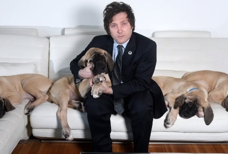 El gobierno no responde sobre temas diversos: desde los gastos por los perros del presidente al oro sacado del Banco Central. El gobierno no responde sobre temas diversos: desde los gastos por los perros del presidente al oro sacado del Banco Central.