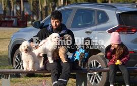 Imagen de Alvear: Se realiz&oacute; la 140&deg; jornada de castraciones gratuitas