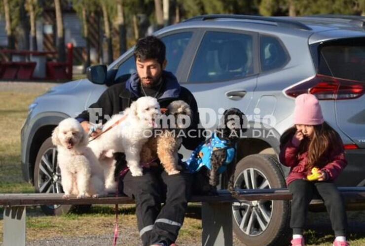 Imagen de Alvear: Se realizó la 140° jornada de castraciones gratuitas