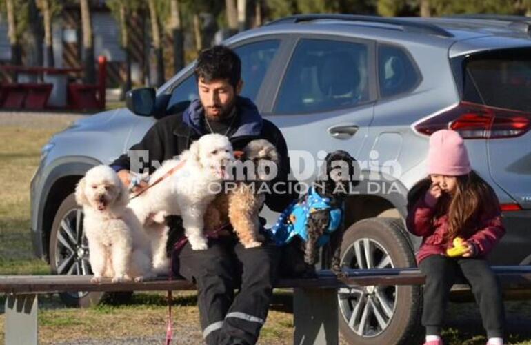 Imagen de Alvear: Se realiz&oacute; la 140&deg; jornada de castraciones gratuitas