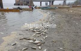 Im&aacute;genes tomadas el martes por la ma&ntilde;ana