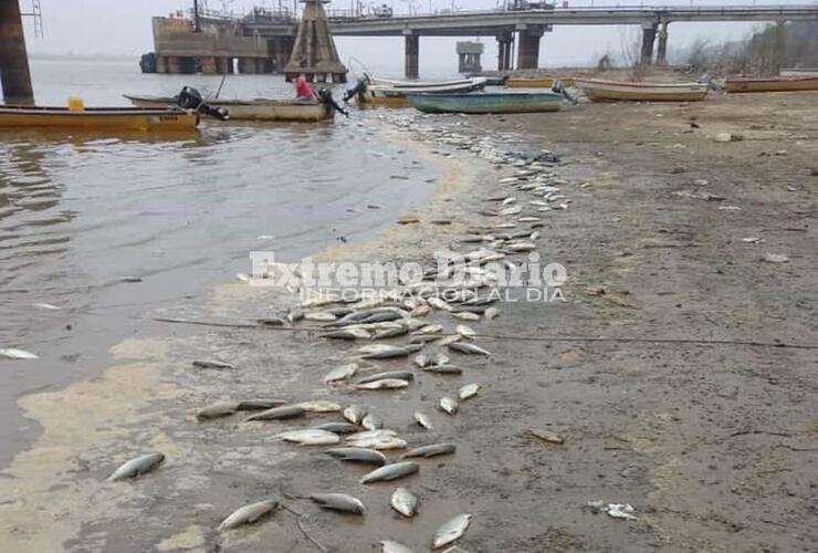 Im&aacute;genes tomadas el martes por la ma&ntilde;ana
