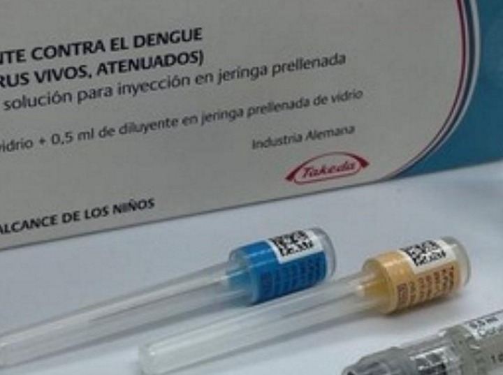 Imagen de Dengue: Nación comenzó a distribuir vacunas priorizando regiones sensibles