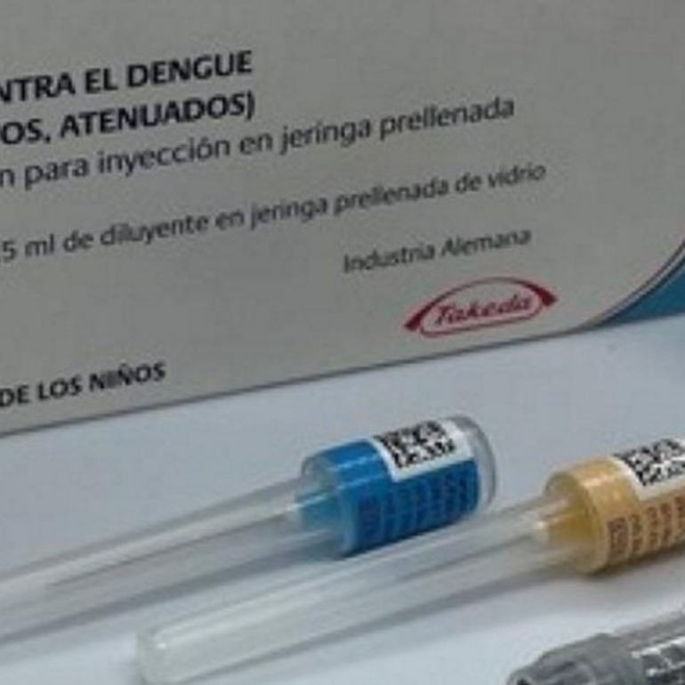 Imagen de Dengue: Nación comenzó a distribuir vacunas priorizando regiones sensibles