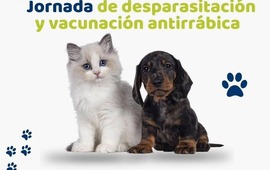 Imagen de Alvear: Campaña de vacunación antirrábica y desparasitación