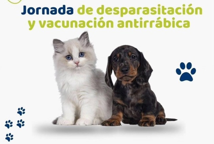 Imagen de Alvear: Campaña de vacunación antirrábica y desparasitación