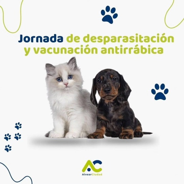 Imagen de Alvear: Campaña de vacunación antirrábica y desparasitación