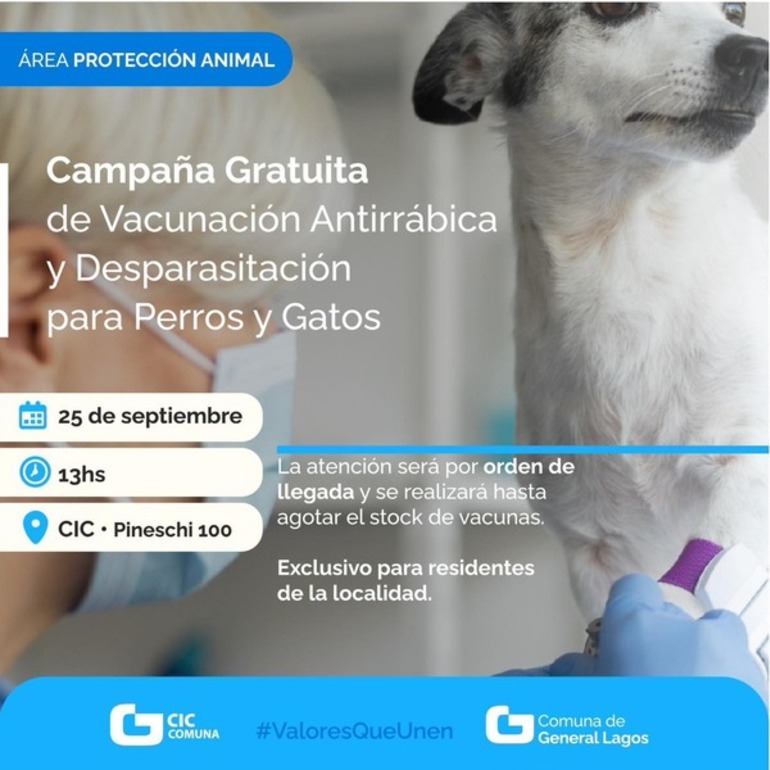 Imagen de Campaña de vacunación antirrábica y desparasitación gratuita para perros y gatos