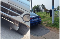 Afortunadamente el hecho no revistió mayores consecuencias.