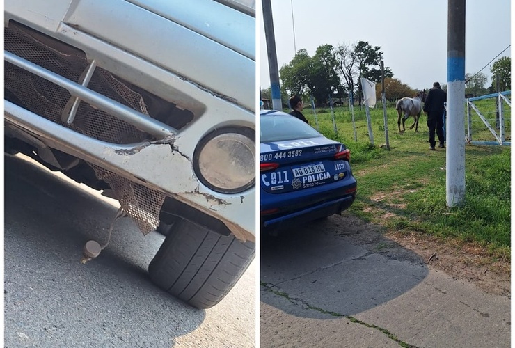 Afortunadamente el hecho no revistió mayores consecuencias.