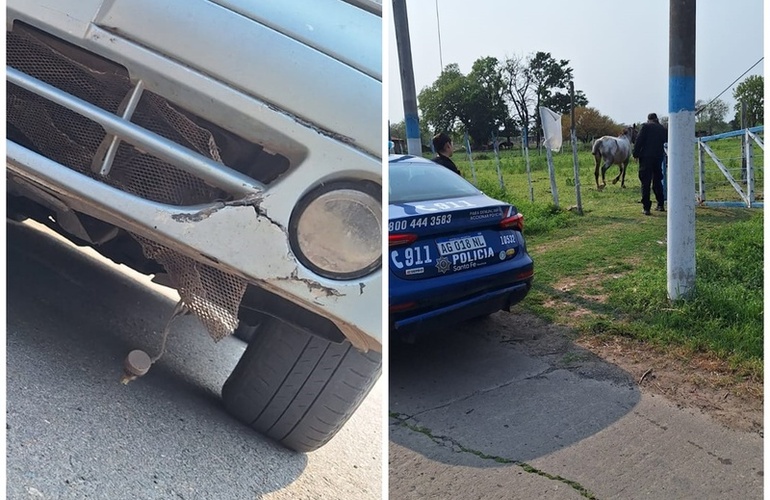 Afortunadamente el hecho no revistió mayores consecuencias.