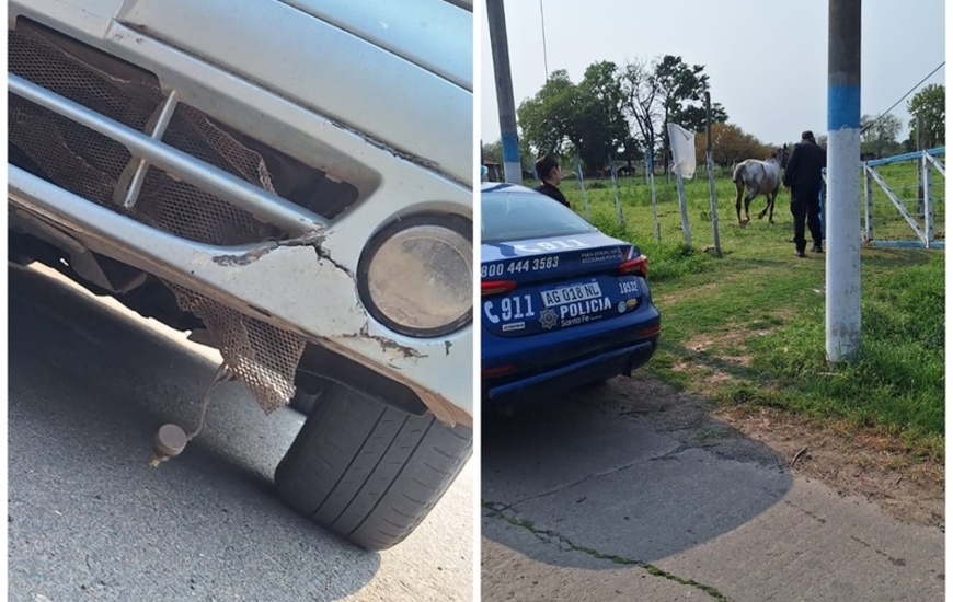 Afortunadamente el hecho no revistió mayores consecuencias.