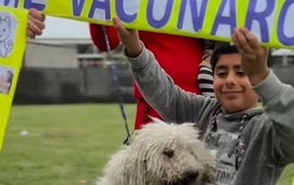 Trabajaron el Estado local, la ONG "Narices Frías" y la veterinaria local.