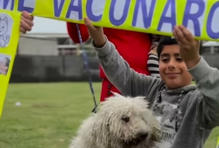 Trabajaron el Estado local, la ONG "Narices Frías" y la veterinaria local.