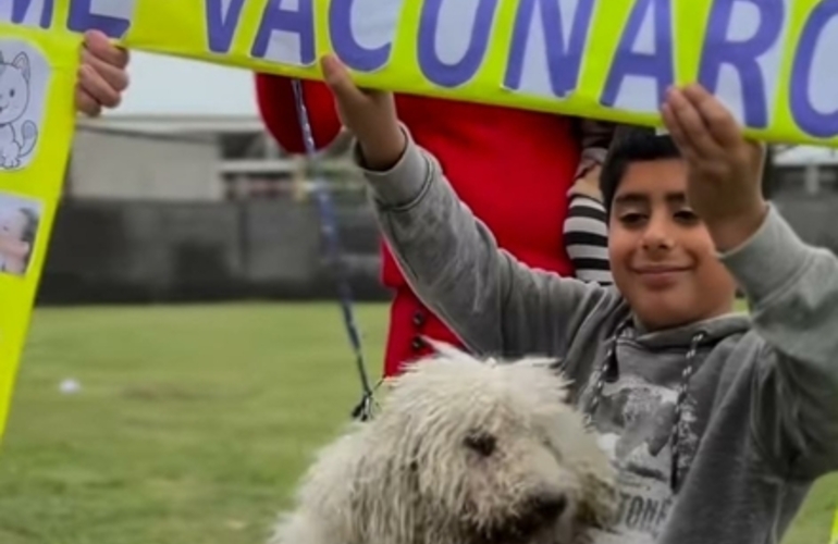 Trabajaron el Estado local, la ONG "Narices Frías" y la veterinaria local.