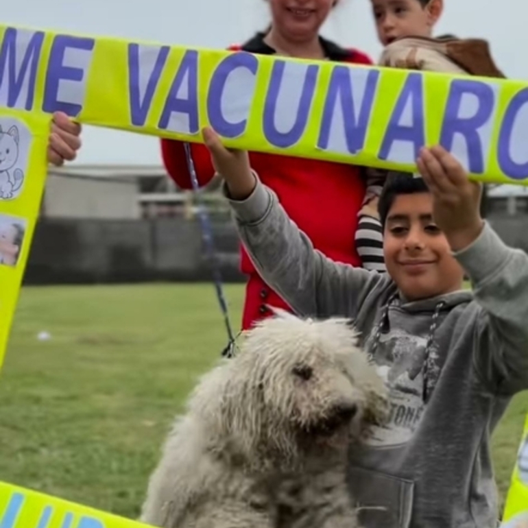 Trabajaron el Estado local, la ONG "Narices Frías" y la veterinaria local.