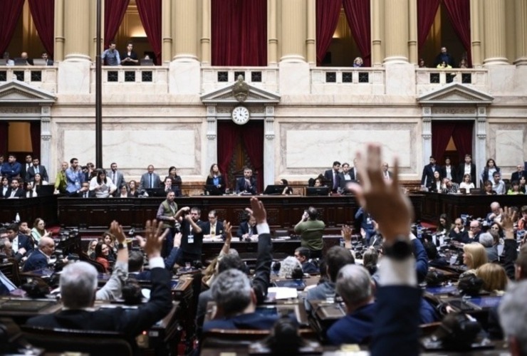 Diputados ratificó el veto a la ley de Financiamiento Universitario. (Cámara de Diputados de la Nación)