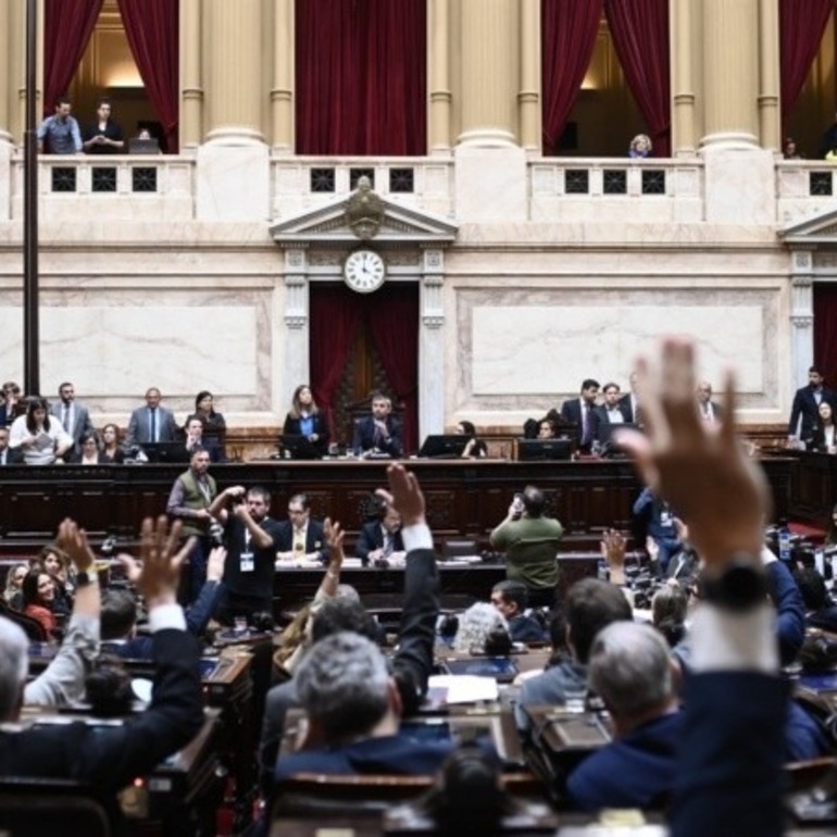 Diputados ratificó el veto a la ley de Financiamiento Universitario. (Cámara de Diputados de la Nación)