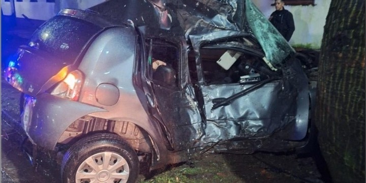 El vehículo se encontraba sobre el sendero del Parque de la independencia. (URII)