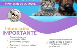 Imagen de Próxima fecha: Campaña de castración gratuita en Arroyo Seco