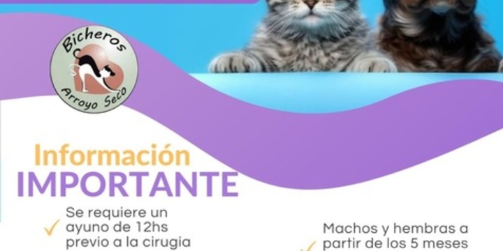 Imagen de Próxima fecha: Campaña de castración gratuita en Arroyo Seco