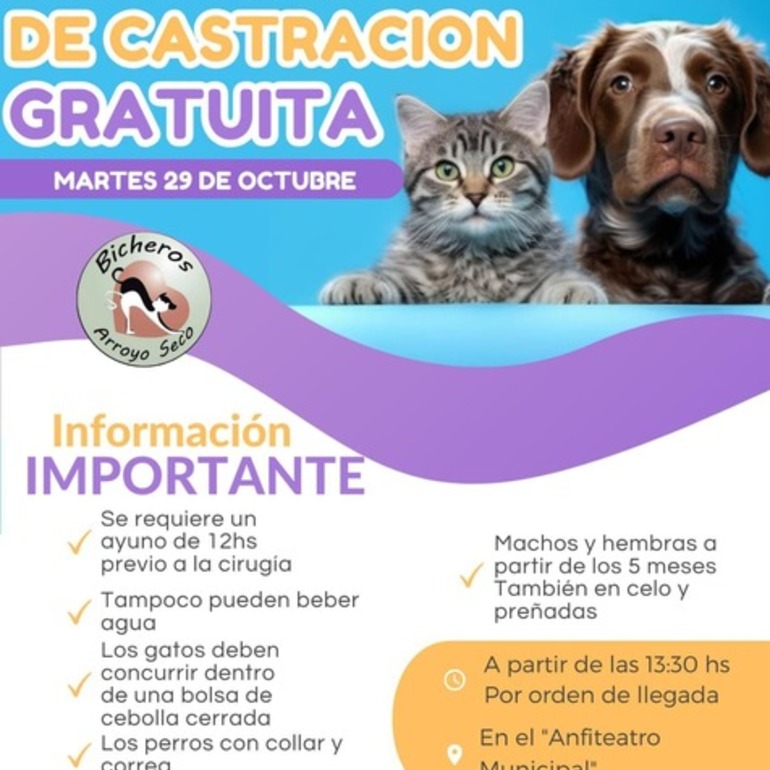 Imagen de Próxima fecha: Campaña de castración gratuita en Arroyo Seco