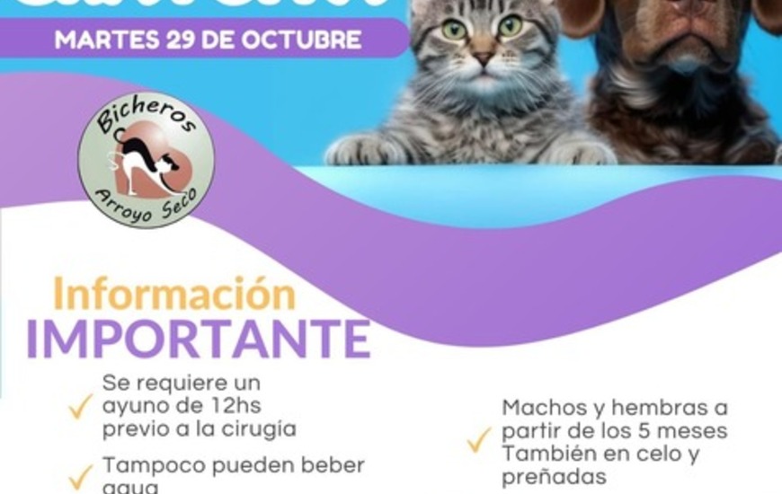 Imagen de Próxima fecha: Campaña de castración gratuita en Arroyo Seco