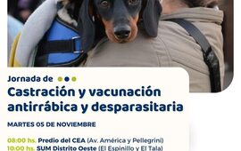 Imagen de Jornada de castraci&oacute;n gratuita y vacunaci&oacute;n antirr&aacute;bica y desparasitaria