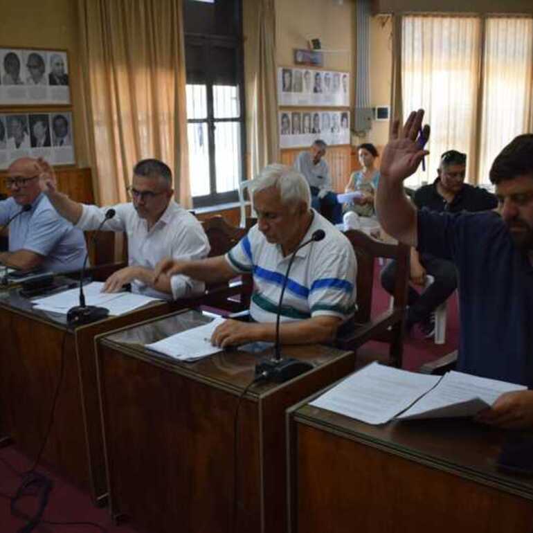 La iniciativa resultó aprobada por todo el cuerpo. Foto: Concejo Municipal