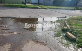 Imagen de Reclamo vecinal por falta de mantenimiento en calle Col&oacute;n al 950