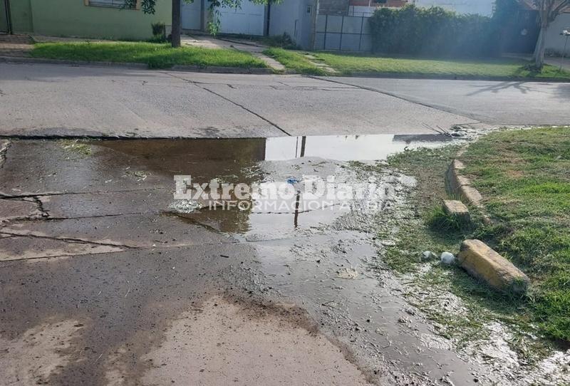 Imagen de Reclamo vecinal por falta de mantenimiento en calle Col&oacute;n al 950