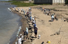 Imagen de 1era jornada de Pesca de Costa de la 28º Fiesta Provincial del Armado.