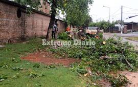 Imagen de Protección Civil trabaja en el despeje de calles tras la tormenta
