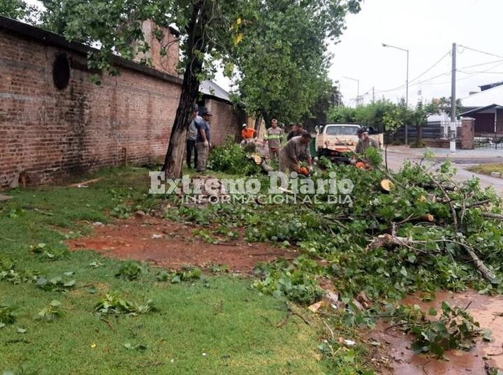 Imagen de Protección Civil trabaja en el despeje de calles tras la tormenta