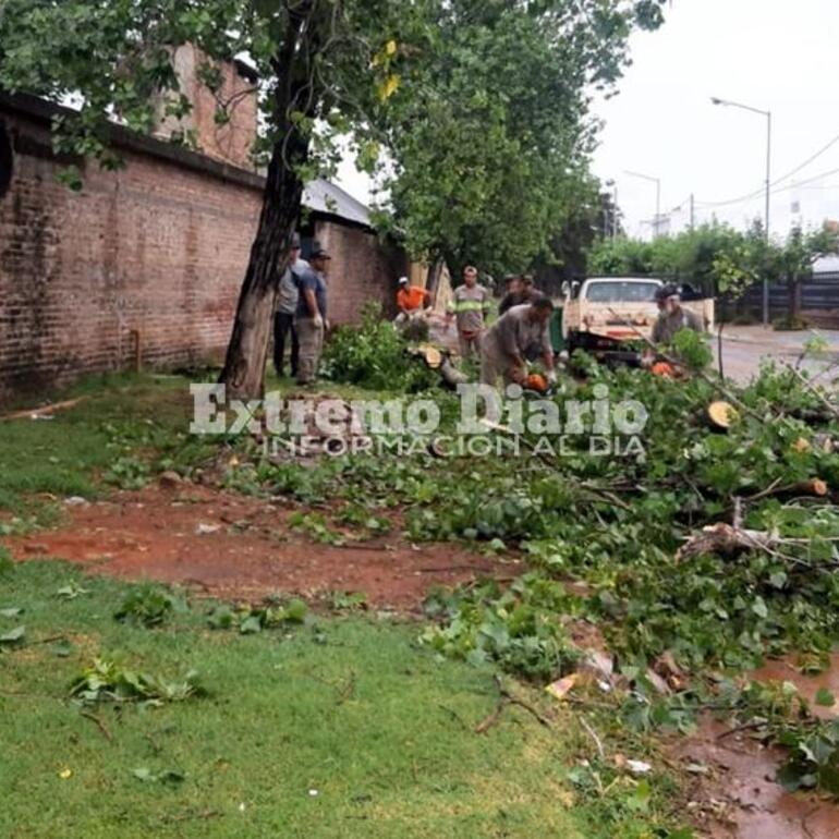 Imagen de Protección Civil trabaja en el despeje de calles tras la tormenta