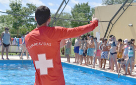 Imagen de Abierta la inscripción para la Colonia de Vacaciones 2024/25