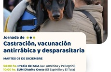 Imagen de Alvear organiza jornada gratuita de castración y cuidado animal