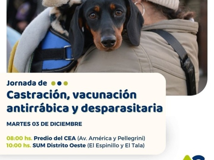 Imagen de Alvear organiza jornada gratuita de castración y cuidado animal