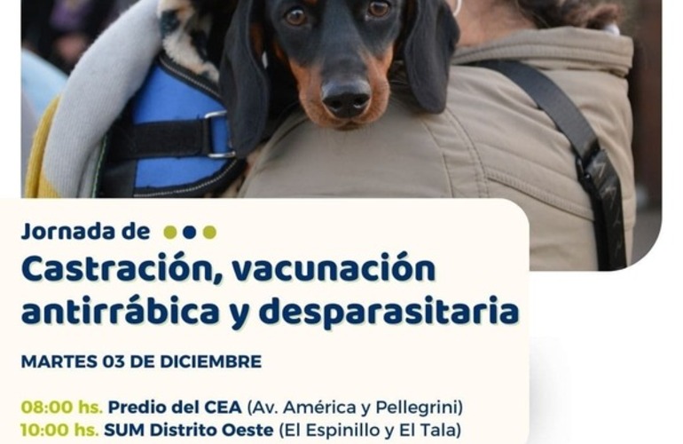 Imagen de Alvear organiza jornada gratuita de castración y cuidado animal