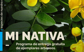 Imagen de Hoy, &uacute;ltimo d&iacute;a para inscribirse en el programa 'Mi Nativa'.