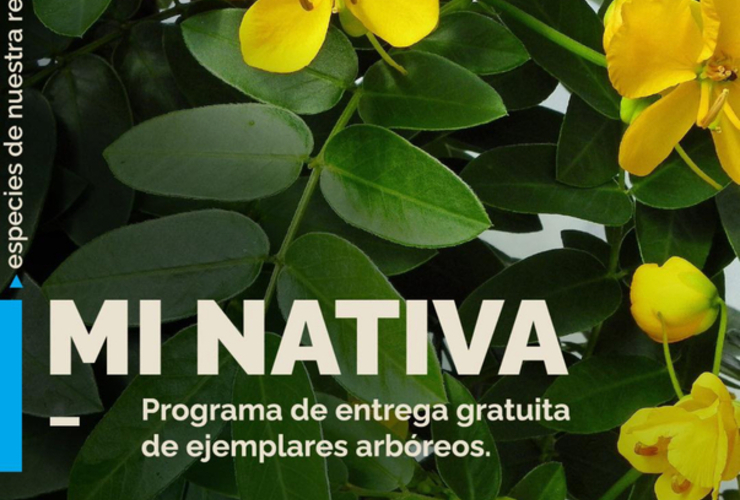 Imagen de Hoy, último día para inscribirse en el programa 'Mi Nativa'.