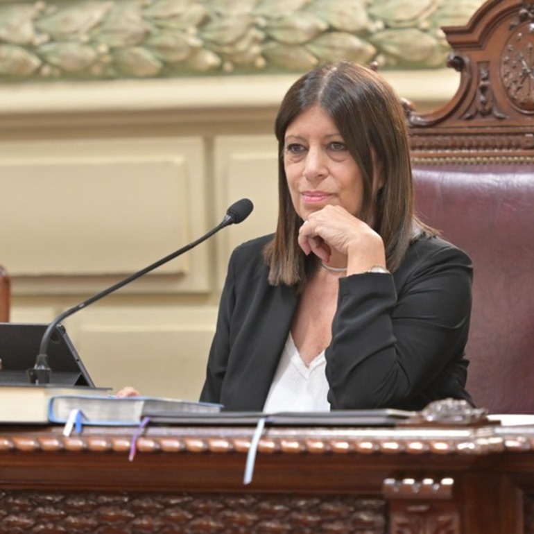 Imagen de Clara García: El trabajo Legislativo reflejó el cambio profundo que vive la provincia