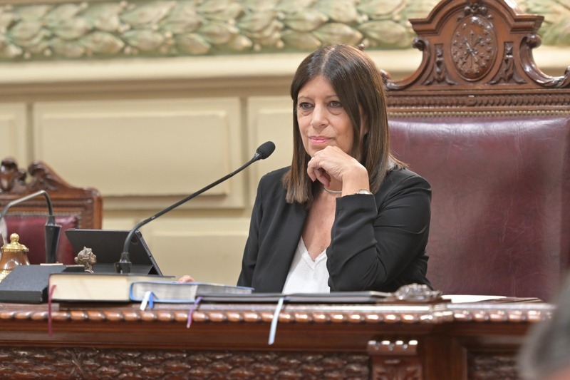 Imagen de Clara García: El trabajo Legislativo reflejó el cambio profundo que vive la provincia