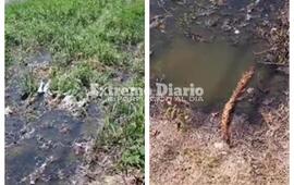 Imagen de Camino al Rowing: Vecinos de An&iacute;bal Maffei 1200 reclaman soluciones por el colapso de cloacas