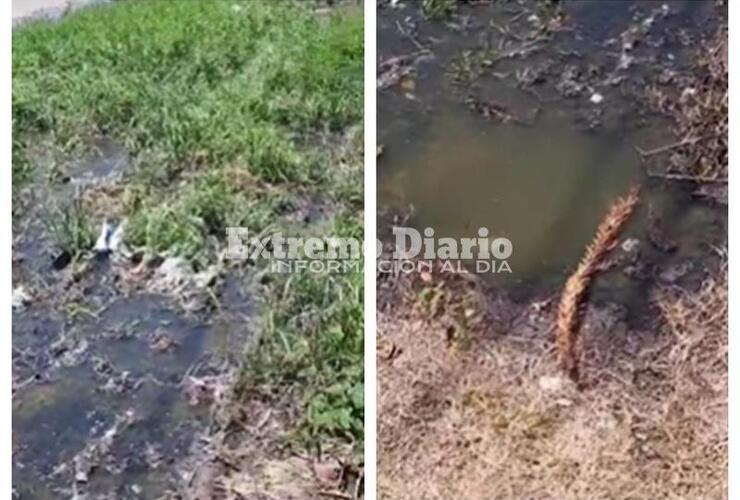 Imagen de Camino al Rowing: Vecinos de An&iacute;bal Maffei 1200 reclaman soluciones por el colapso de cloacas